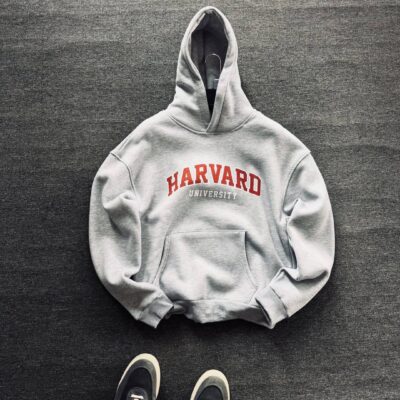 Чоловіче Сіре Худі "Harvard" Утеплене на Флісі Оверсайз